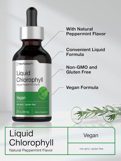 Chlorophyll | 2oz Liquid